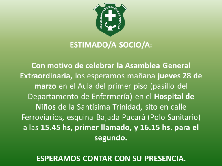 Borrador automático 12