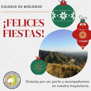 Salutaciones por las Fiestas 12
